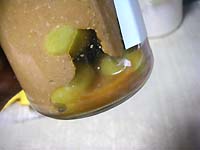 梅干より簡単！梅×味噌の最強養生コンビで作る砂糖なし保存食「万能梅味噌」の作り方。漬け込んで2ヶ月待つだけで、疲れ知らずの身体に！IN YOUOrganic Life to all the people