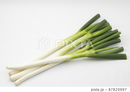 長ネギ歴史板前の一生