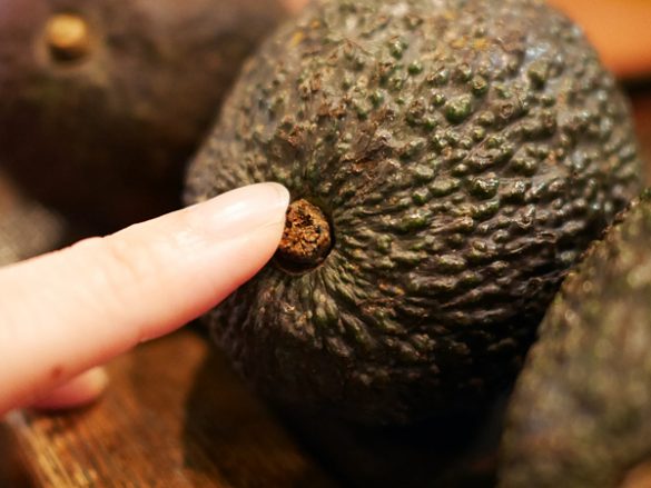 アボカドの選び方避けるべきアボカドの特徴と追熟する方法も解説ふるなび公式ブログ ふるさと納税DISCOVERY