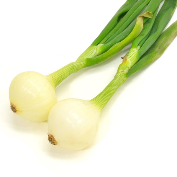 ねぎのプロフェッショナルガイド！白ねぎ・青ねぎ・たまねぎの美味しさと栄養＜健康効果もバッチリ＞青空市場