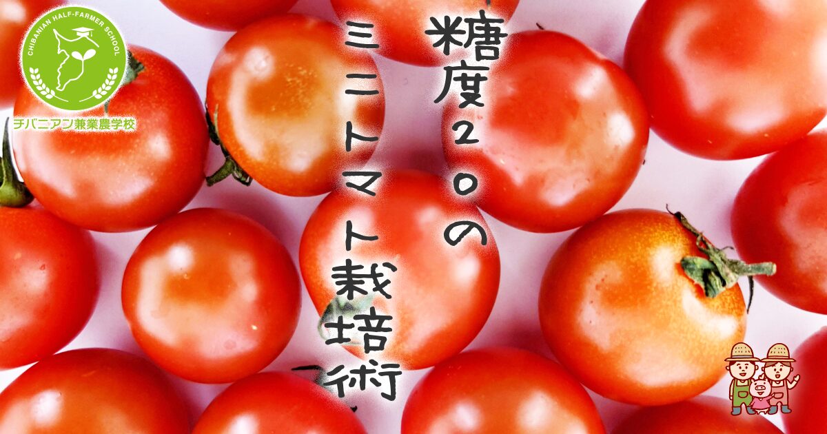ミニトマト プランター編 - 園芸特集 - 株式会社 東 商
