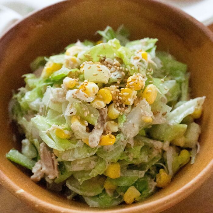 取り分けレシピ 野菜と煮込むロールキャベツセット