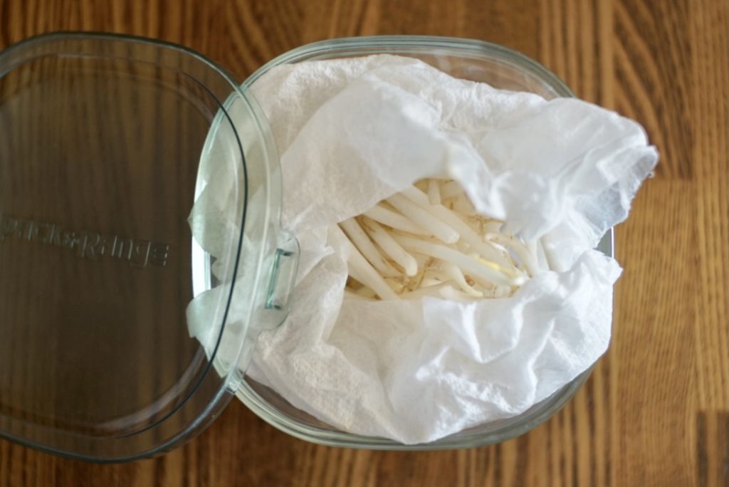 袋のままレンジで簡単！もやし長持ちのコツ by けいこSuクックパッド簡単おいしいみんなのレシピが392万品