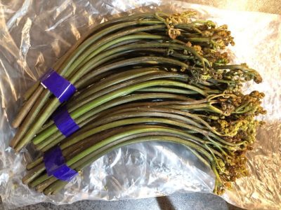 わらびとわかめの味噌汁 のレシピ肥前佐嘉角屋