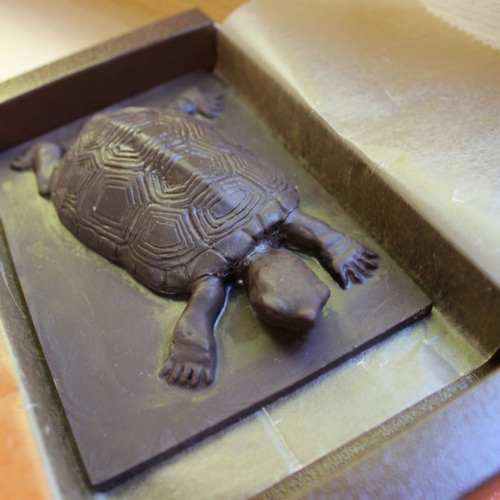 Amazon.co.jp: シリコン型チョコ型 カメの形のシリコーン型フォンダンムースケーキデコレーション diy ゼリー型 : ホーム＆キッチン