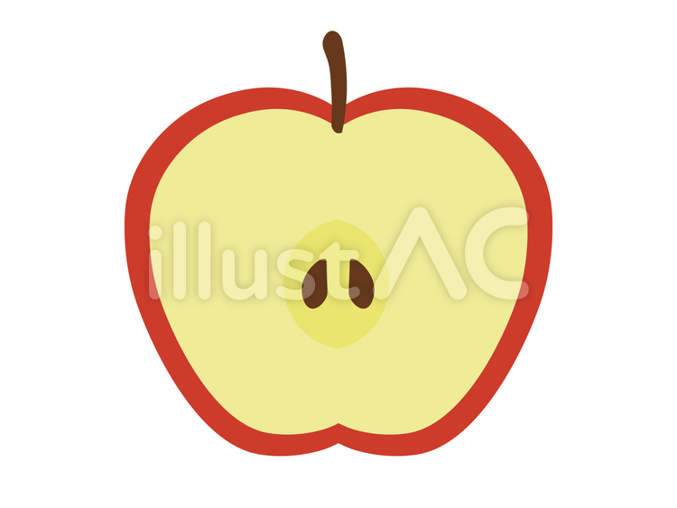 半分にカットした赤リンゴの断面図イラストイラスト素材館