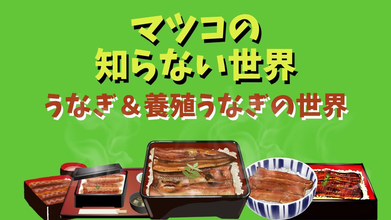 全国うなぎの名店食べログまとめ