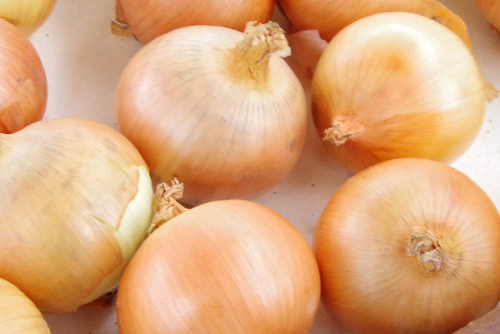 おっ玉葱 たまねぎ グッズ」の紹介です！ 「ちっちゃいおっ玉葱」の置物が登場しました。 ごれで淡路島に行かなくても どこでも淡路島を感じられますね♪つづいて、 「おっ玉葱クッキー」は 中にクリームが入ってて とても美味しいです。 ^^♪ 次は、 「おっ玉葱