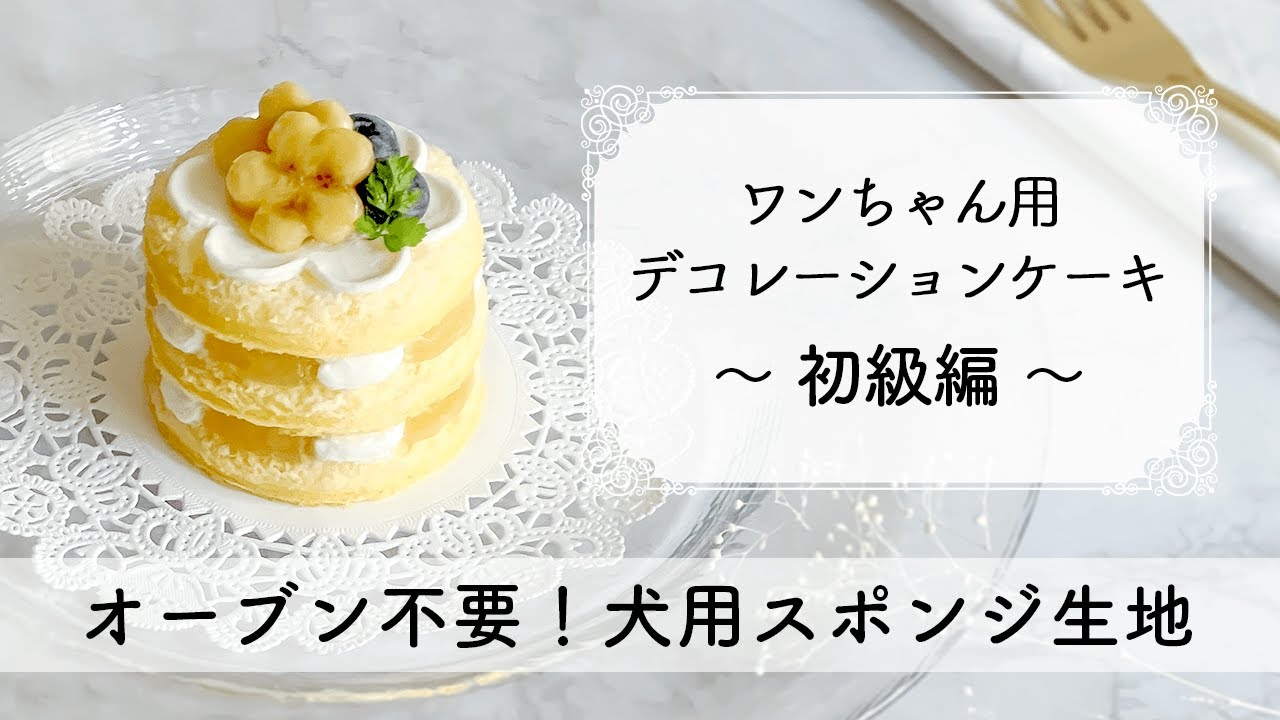 犬のハーフケーキ🍰🐶💕, モフモフかわゆ🥺, 市販のサンドでめちゃ簡単に作れるので, 是非作ってみてください💓,YouTubeに載せてます！,강아지케이크 犬ケーキ 하프케이크 ハーフケーキ マルチーズ わんわん キャラクターケーキ 簡単レシピ お菓子作り dogcake생일케이크 センイルケーキ ケーキ作り 手作りケーキ cake 케이크 ケーキ インテリア 韓国インテリア,