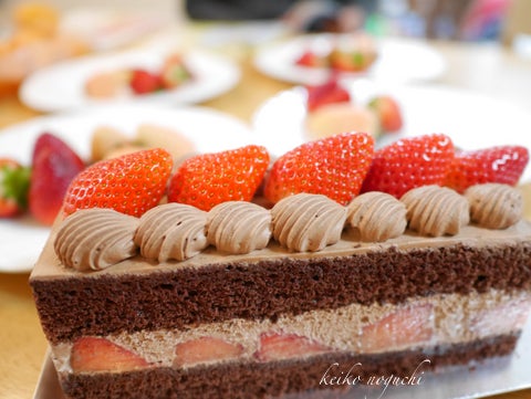 長方形 ケーキ」の人気商品一覧安い商品を通販サイトから探す - 価格.com