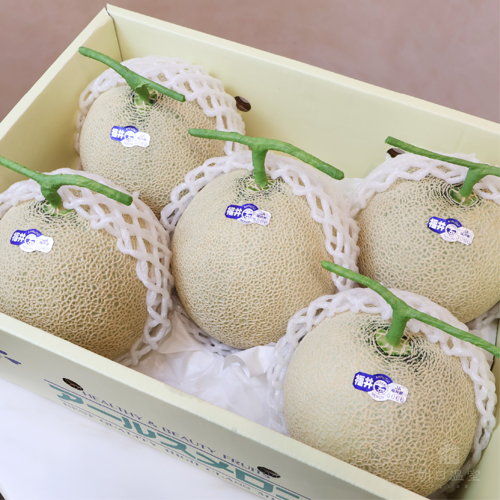 日本哈密瓜幾月最好吃？產季、品種、伴手禮商品完整介紹- 完美行旅遊情報 WAmazing Discover