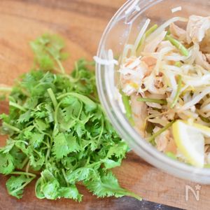 パクチーのサラダ、ナンプラーのドレッシングで
