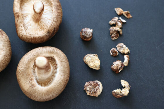 しいたけの軸が黒い？心配無用！美味しさを最大限に引き出すコツ生涯使える知恵袋