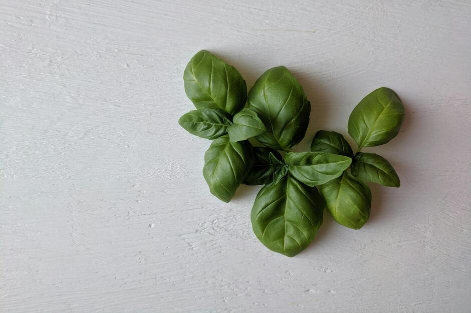 バジルの保存方法 - 野菜の保存方法 料理の基礎レシピサイトNadia