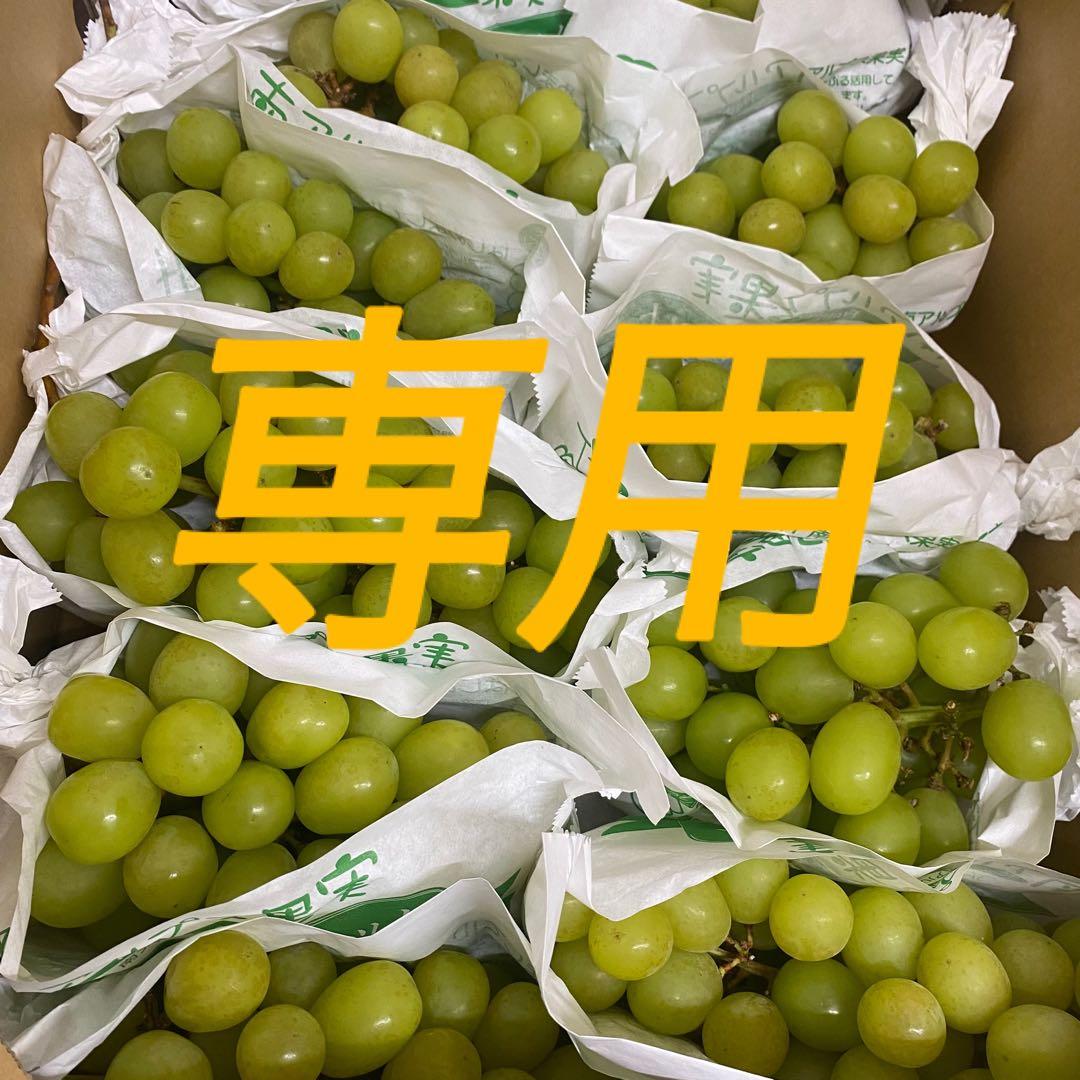 シャインマスカット 人気記事 一般 アメーバブログ アメブロ