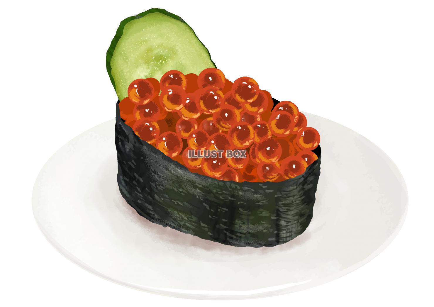 エビの寿司リアルなベクトルのイラスト - お弁当のベクターアート素材や画像を多数ご用意 - お弁当, アイコン, アジア大陸 - iStock