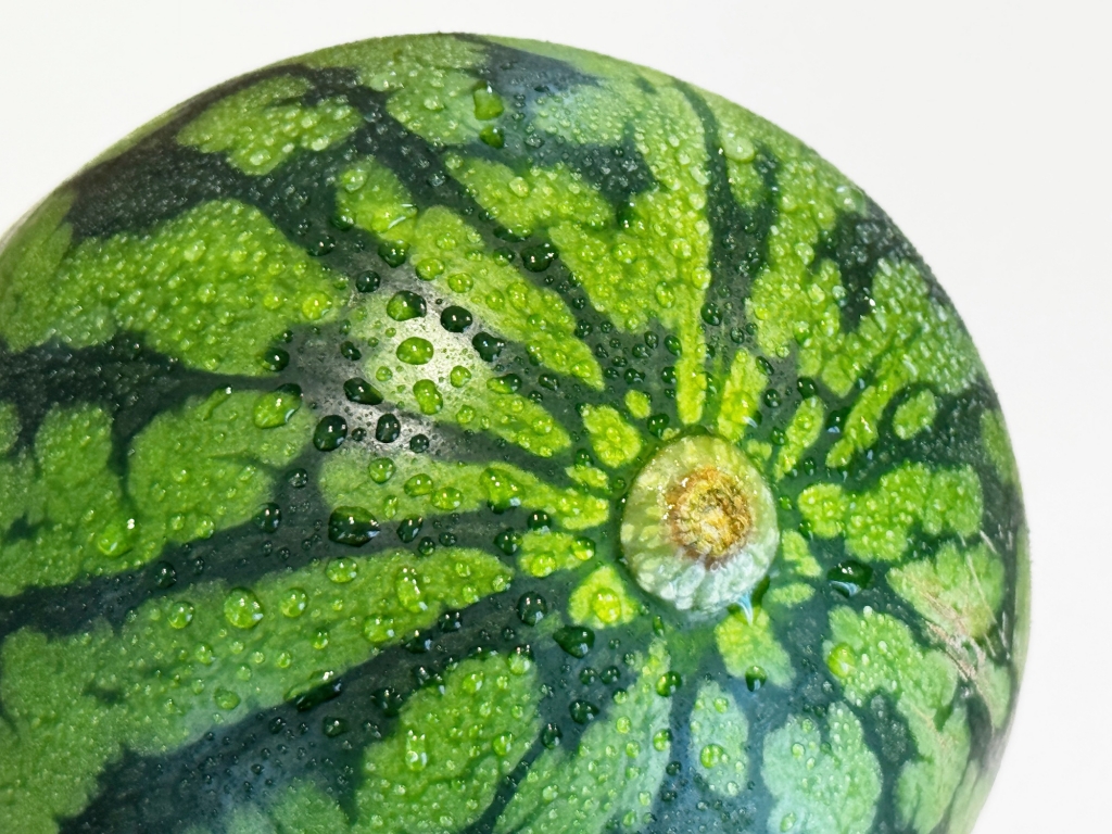 丸ごと美味しく♪ スイカの切り方をマスター！ 余ったときの保存方法&おすすめレシピも紹介- YouTube