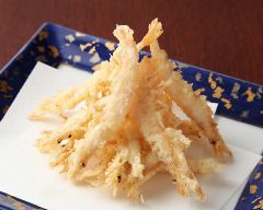 富山湾の宝石」と称される白海老 – 富美菊酒造 羽根屋