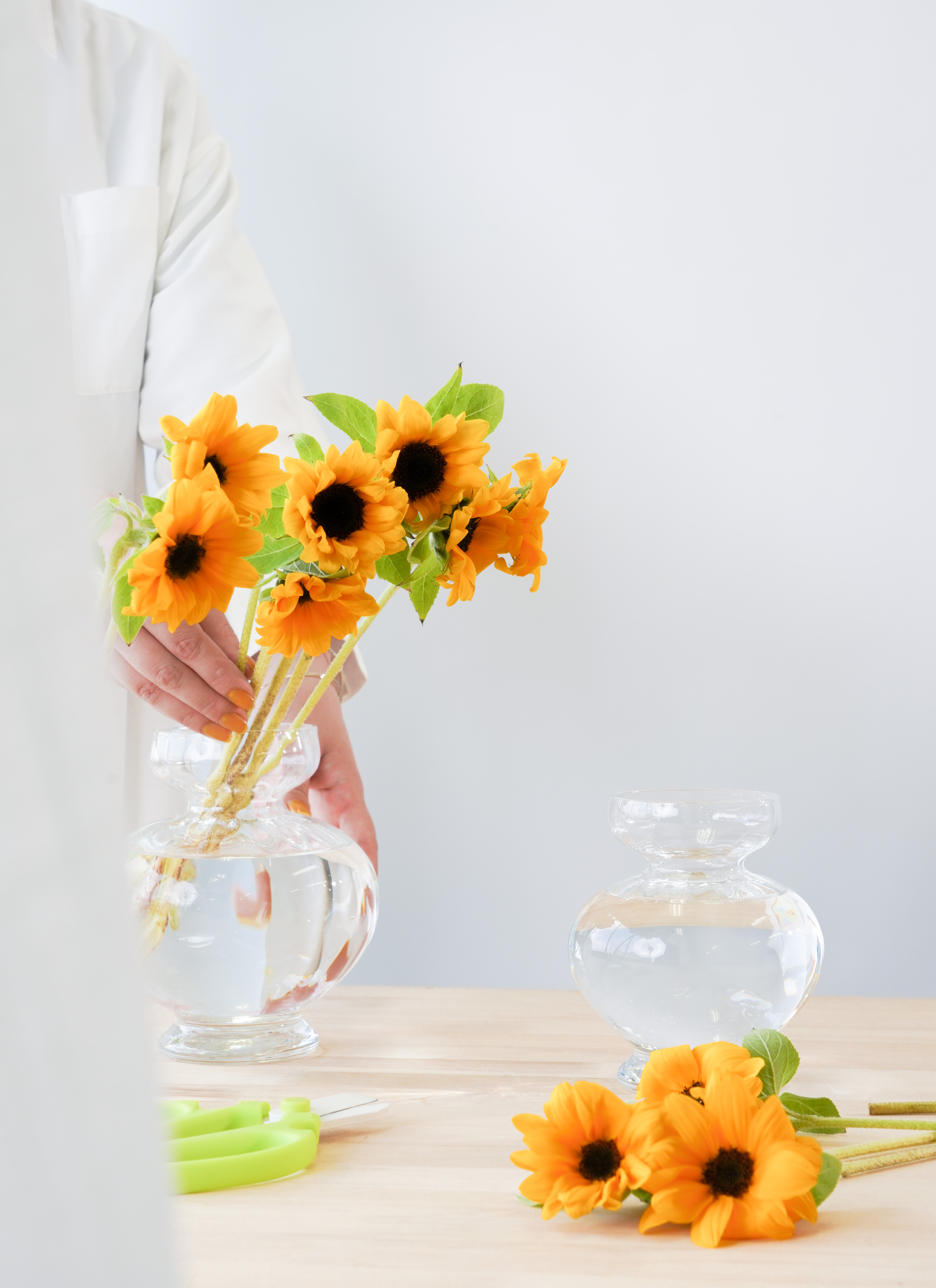 産地直送の花 花農家直送 お花と観葉植物のオンライン宅配ショップ – LIFFT