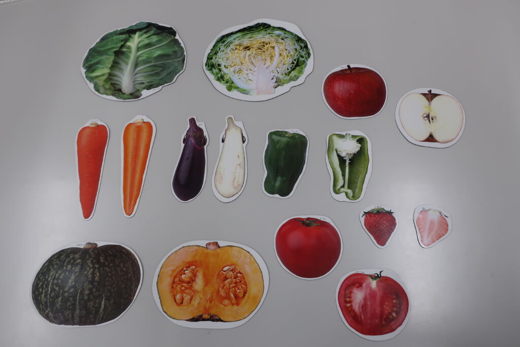 野菜の断面図イラスト - No: 22469336無料イラスト・フリー素材なら「イラストAC」