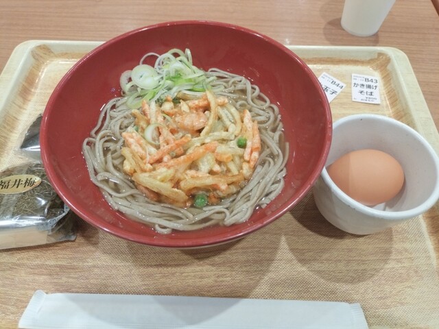 探検・発見・石川県MAPの詳細ブログ: 福井市の手打ちそば処「やっこ」で鬼おろし蕎麦をいく