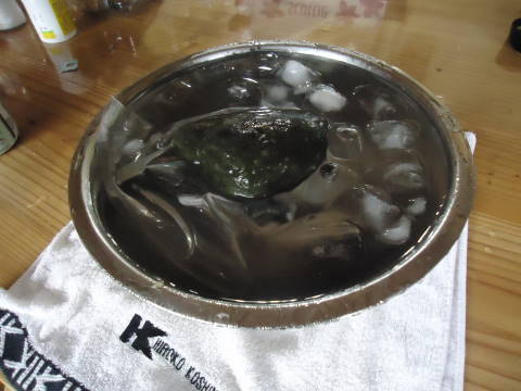 鮎のおすすめの保存方法は冷蔵？冷凍？保存時の手順や注意点も解説〜緒方の鮎〜 OGATA養殖技術研究所