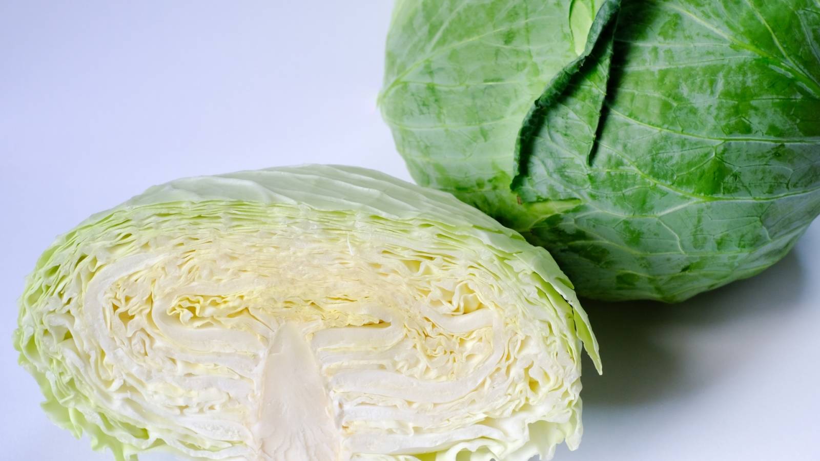 キャベツの黒い点の正体はカビ？食べられるキャベツの見分け方を解説 – Onnela オンネラ 暮らしに『楽』を、家族にワクワクを