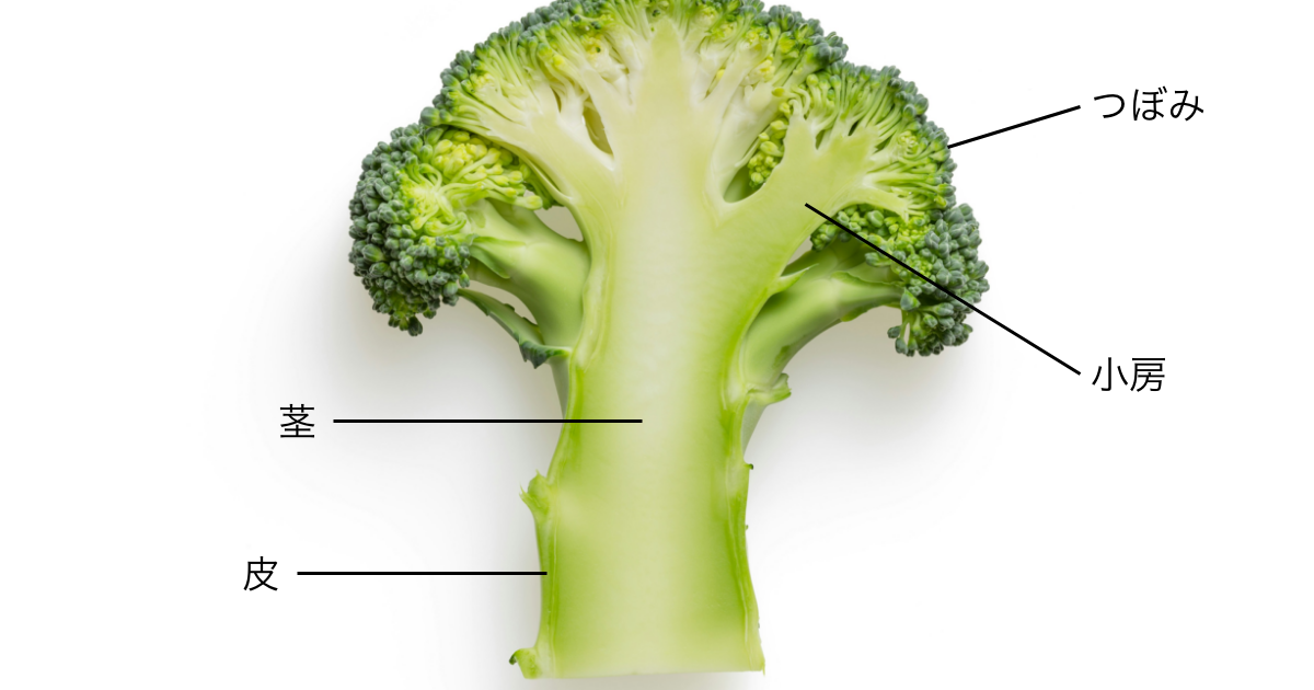 レンジでブロッコリーの塩ゆで by かしし。クックパッド簡単おいしいみんなのレシピが392万品