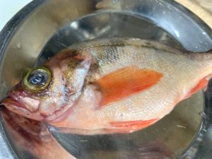 スープ ド ポワソン 魚のスープ - Fleur de sel 塩の華