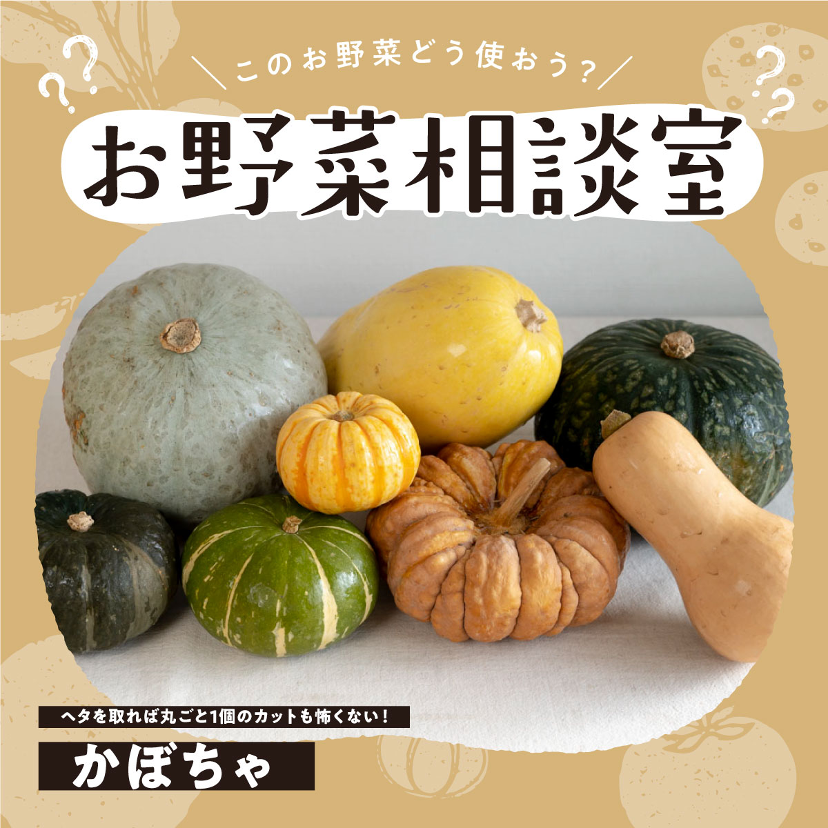 かぼちゃにカビが生えたときの対処方法は？日持ちさせる保存方法も解説 - トクバイニュース