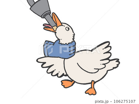 Amazon.co.jp: bonboriぼんぼりフォアグラ カナール 約45g × 6個 ステーキ ソース付き 1個ずつ 個別包装 無添加グルメ 三大珍味 高級食材 誕生日 お祝 内祝 お取り寄せ ギフト クリスマス 御歳暮 お正月 : 食品・飲料・お酒