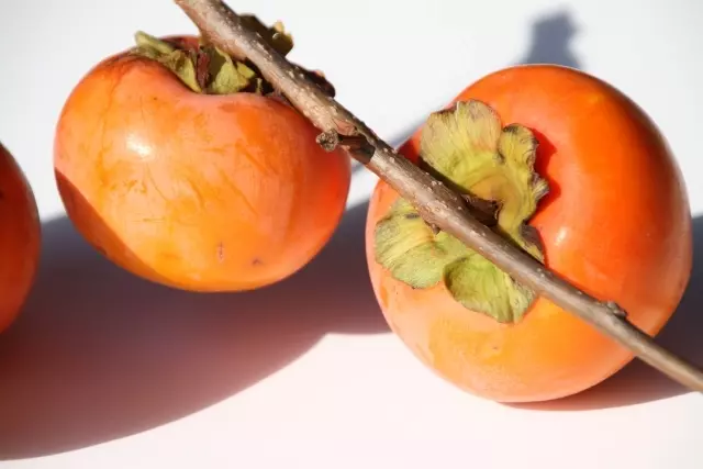 あんぽ柿の保存方法は？常温・冷凍・冷蔵それぞれ紹介！福島名産 あんぽ柿公式 JAふくしま未来のお取り寄せギフト通販