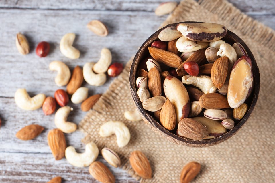 バーモント マカダミアナッツ ハイブリッドの特徴と育て方苗木部の部室 〜苗木、育てよう〜 By 花ひろばオンライン