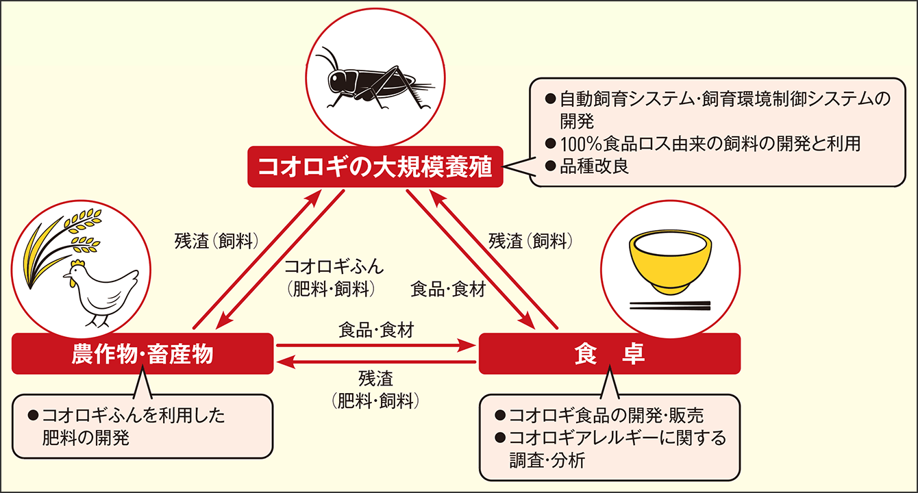 食品としてのコオロギのメリット～コオロギってこんなにすごい！～MNH GLOBE <Social Good Company>