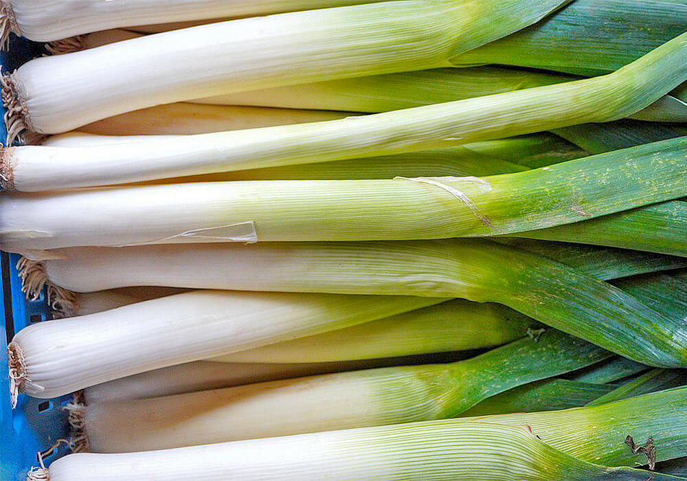 長ネギそっくりなリーキ Leek の食べ方ポロネギ, 西洋ネギアメリカで野菜を美味しく 写真付き- Mamemiso diary