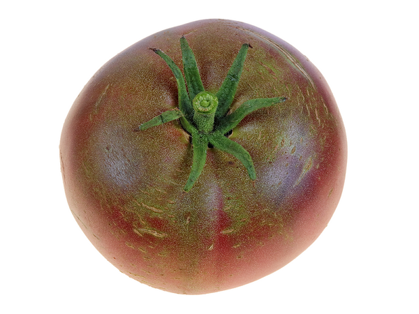 虫の害により腐った栽培中の大玉トマト 写真素材5449777- フォトライブラリ