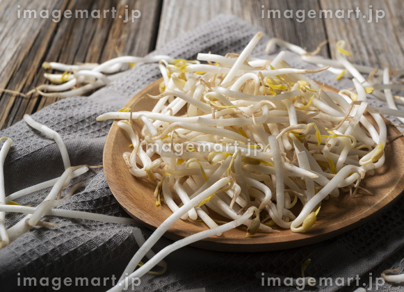 有機種子スプラウト・マングビーン 緑豆19g 約300粒郵送対応メーカー名からタネを探す あ～た行, グリーンフィールドプロジェクト日光種苗オンラインショップ 本店