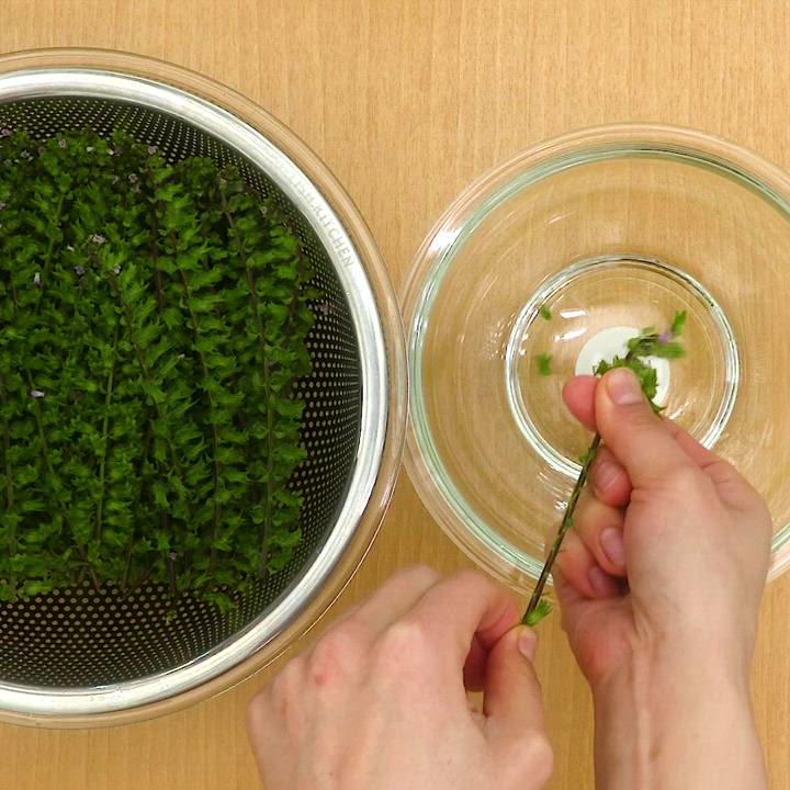 しその実の塩漬け＆アイデアレシピ11選。意外と使える万能食材 - macaroni