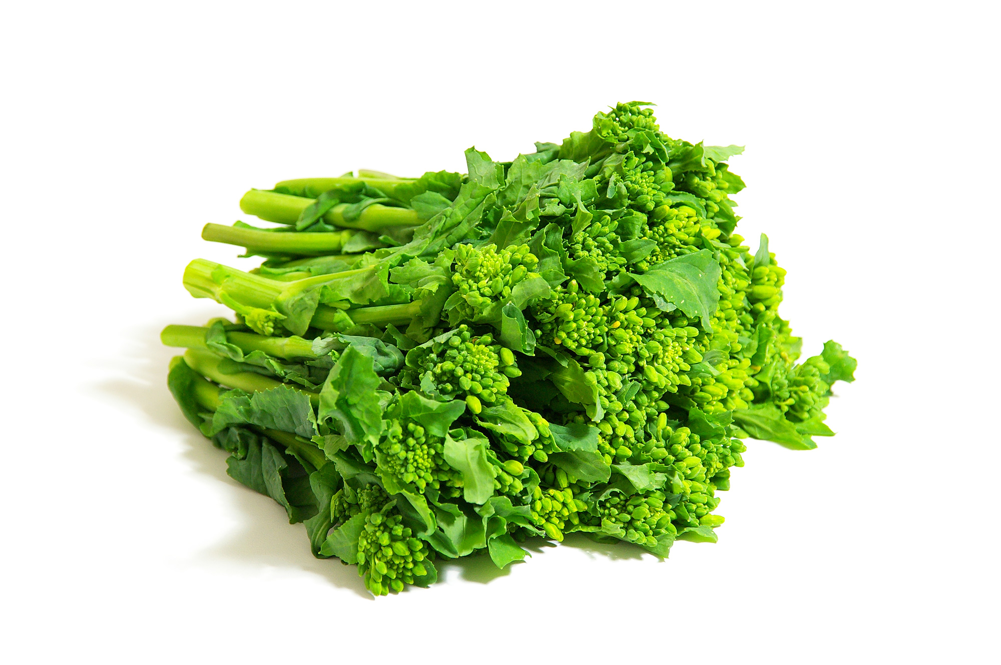 まとめ 野菜のフリー写真画像素材集イラストフォト