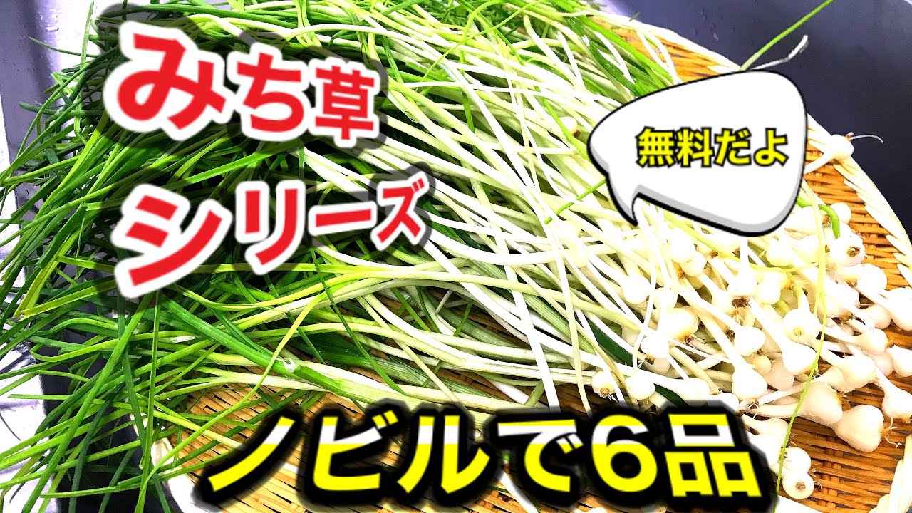 野草を食べよう♪ノビルのニンニク味噌炒め