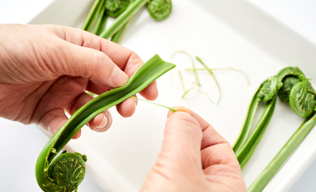 こごみの天麩羅 写真素材5974820- フォトライブラリ