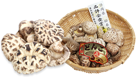 しいたけに白いカビが生えた？！これって食べられるの？気中菌糸との見分け方関東きのこの会