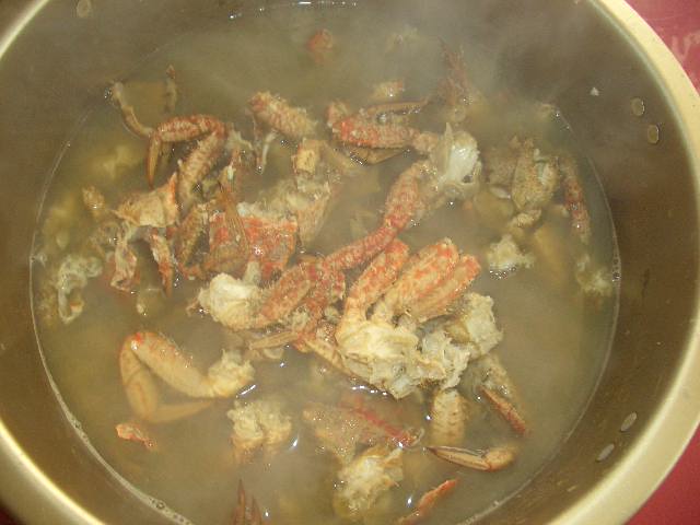 浜名湖ワタリガニ カニが泡吹くのはどうして l 南浜名湖あそび隊