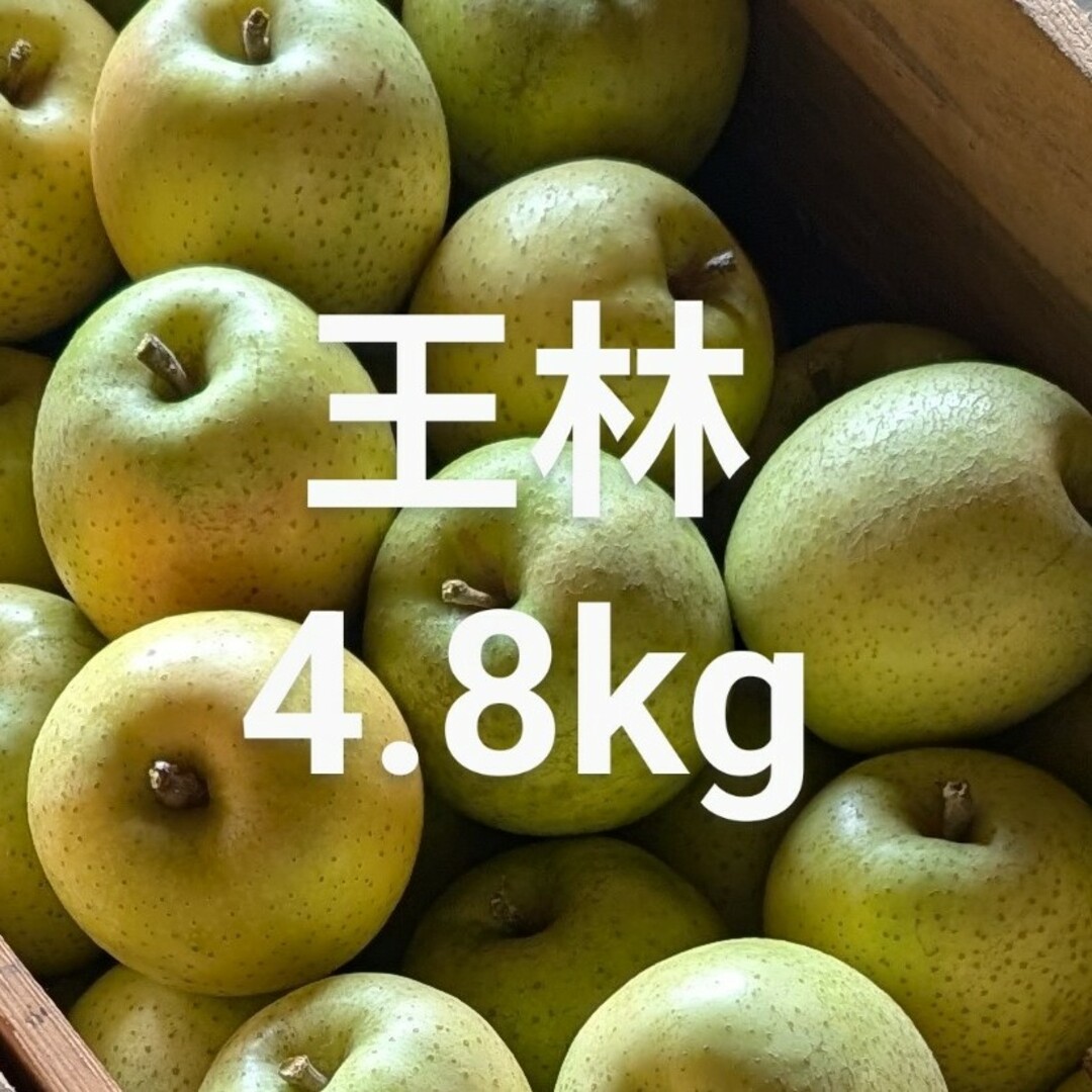 今年はやるぞ！」と意気込むあなたに全国 CM「デュオリンゴ ゴロゴロ言語が学べる」篇、1 月 7 日 土 放映開始Duolingo,Inc.のプレスリリース