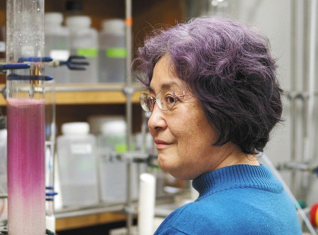 紫キャベツを茹でたら青くなるのはなぜ？うどんやラーメンを作ってみたら驚きの結果に？！株式会社 旭物産