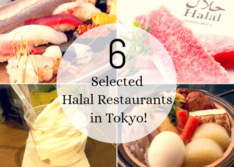 2017 4 2 お花見交流会を開催しました HALAL RECIPES JAPANハラールレシピ
