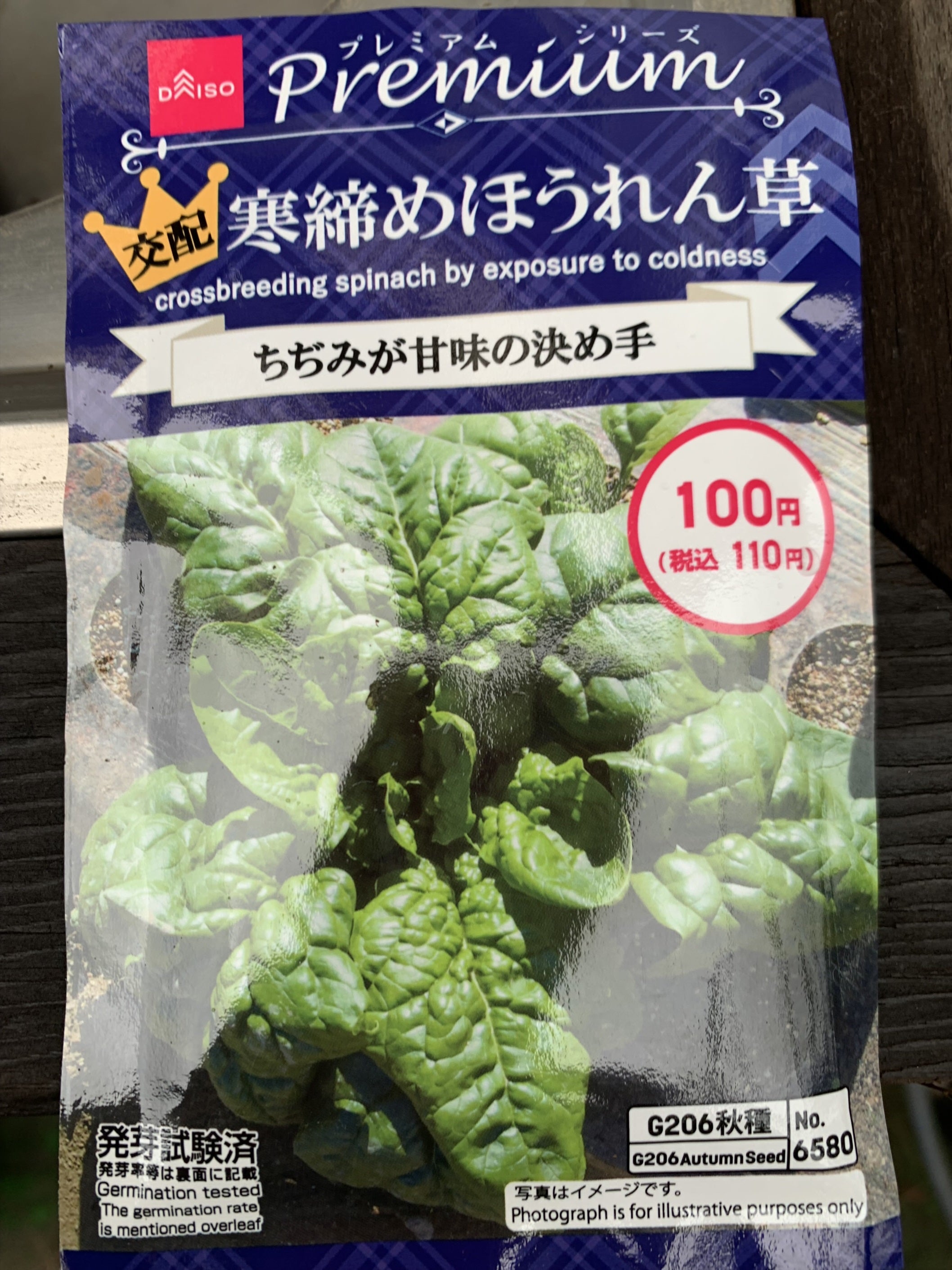家庭菜園向け 秋植えプランターほうれん草栽培を成功させる秘訣！農業大好き❗ 小川隆宏