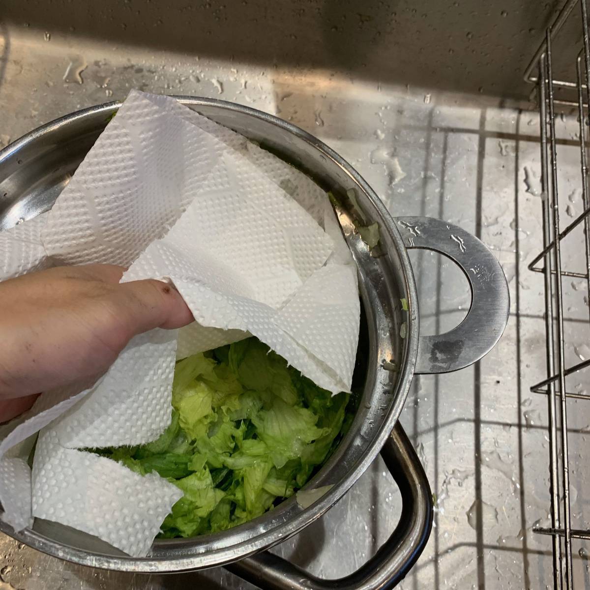 無印・ニトリで買える？サラダスピナーのおすすめ人気ランキング10選！1個あるだけ調理がもっと簡単にmonocowモノカウ