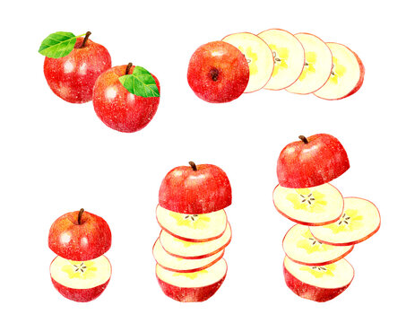 りんご断面 イラスト - No: 22122300無料イラスト・フリー素材なら「イラストAC」