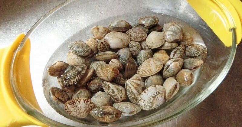 料理の基本！ あさりの砂抜き